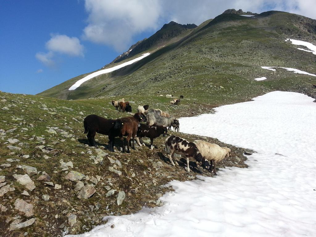 Ferienhaus Eiter Appartement Sankt Leonhard im Pitztal Buitenkant foto