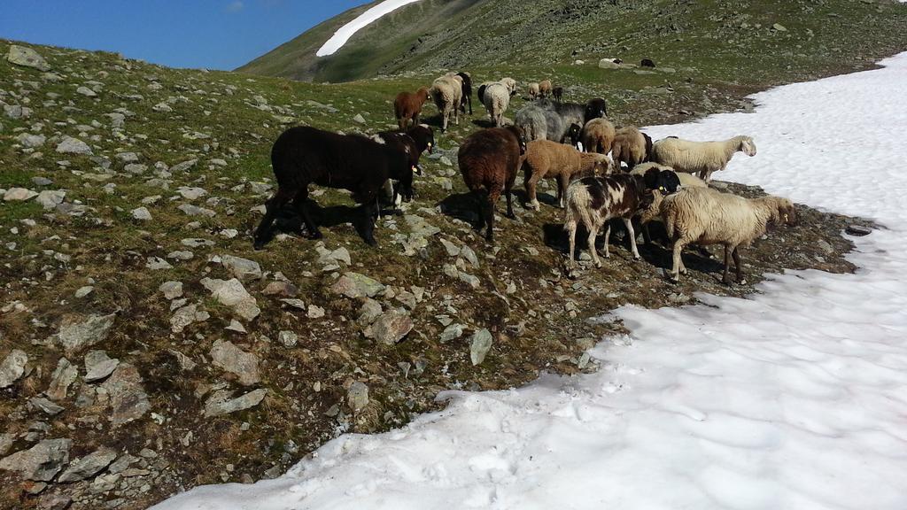 Ferienhaus Eiter Appartement Sankt Leonhard im Pitztal Buitenkant foto